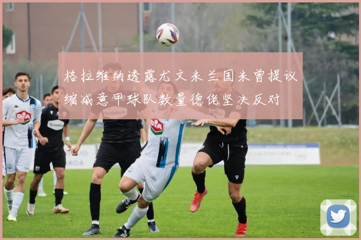 格拉维纳透露尤文米兰国米曾提议缩减意甲球队数量德佬坚决反对